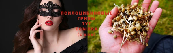 шишки Волосово