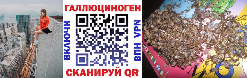 Псилоцибиновые грибы GOLDEN TEACHER Гдов